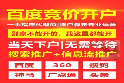 谷歌竞价广告与SEO结合的营销案例解析